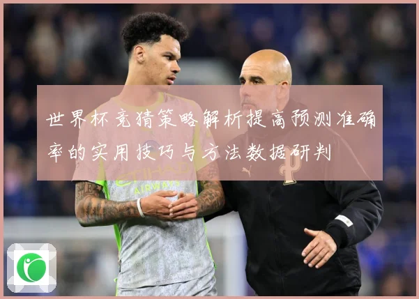 世界杯竞猜策略解析提高预测准确率的实用技巧与方法数据研判