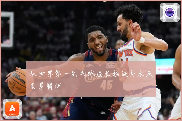 从世界第一到网球成长轨迹与未来前景解析